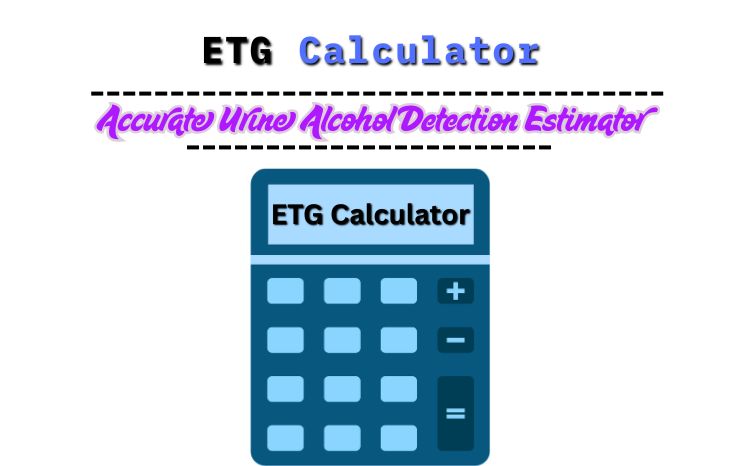 ETG Calculator – Accurate Urine Alcohol Detection Estimator